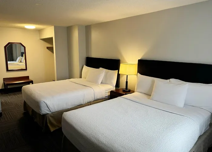 Divya Sutra Plaza And Conference Centre Calgary Airport