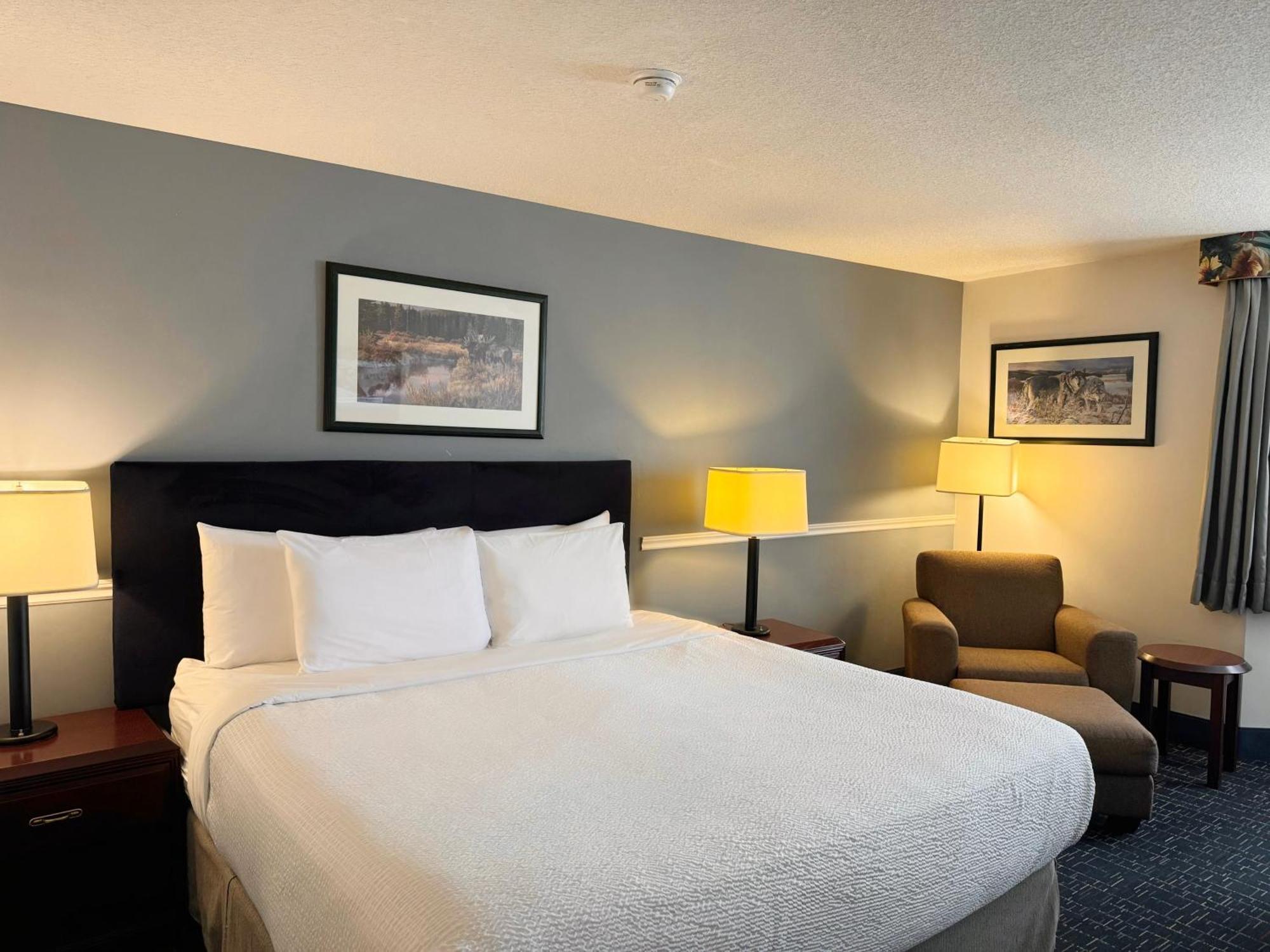 Hotel Divya Sutra Plaza And Conference Centre Airport 3*
