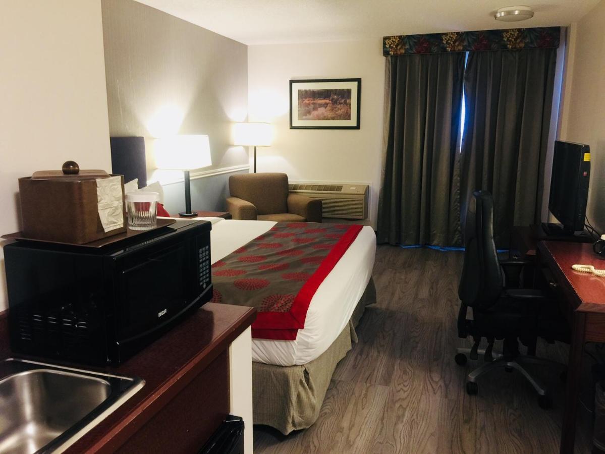 Divya Sutra Plaza And Conference Centre Airport 3*